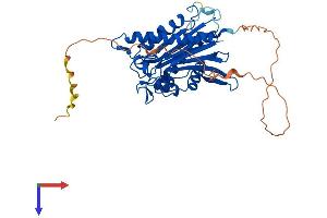 ILKAP Protein (AA 1-392) (His tag)