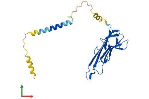 AlphaFold protein structure predicition of Human Recombinant TNF Protein, UniprotID P01375 (TNF alpha Protein (AA 1-233) (His tag))