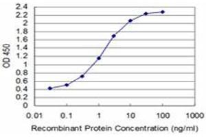 Detection limit for recombinant GST tagged T is approximately 0. (T Brachyury Protein (AA 222-320) Antikörper)