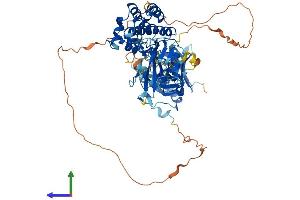 Protein Structure (PS) image for BMX Non-Receptor Tyrosine Kinase (BMX) (AA 1-675) protein (His tag) (ABIN7552620)