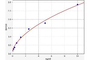 CDK4 ELISA Kit