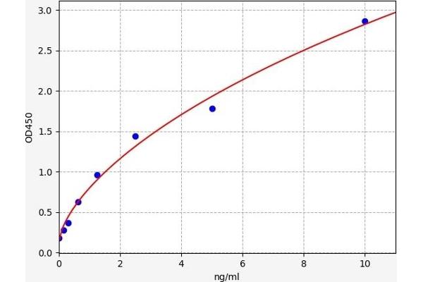 CDK4 ELISA Kit