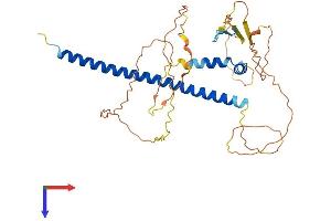 CREM Protein (AA 1-357) (His tag)