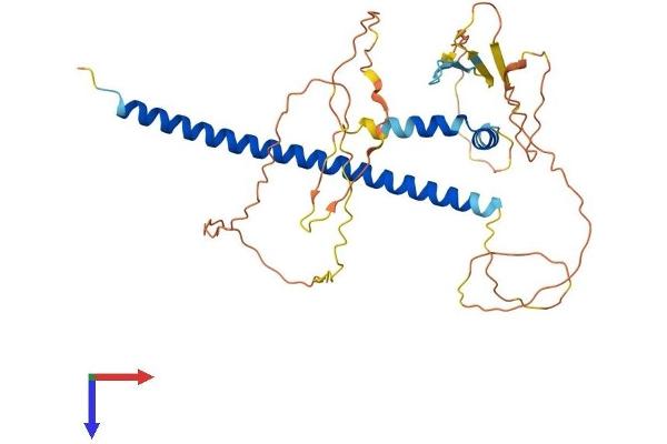CREM Protein (AA 1-357) (His tag)