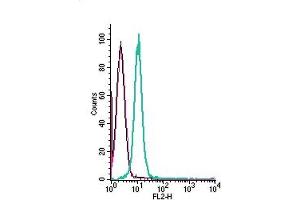 Cell surface detection of GPR84 by direct flow cytometry in live intact human  monocytic leukemia cells: + Rabbit IgG isotype control-PE. (GPR84 Antikörper  (Extracellular) (PE))