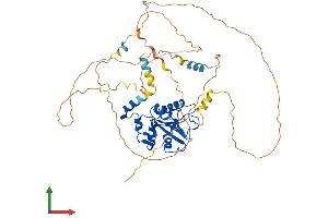 Protein Structure (PS) image for Cell Division Cycle 25 Homolog A (S. Pombe) (CDC25A) (AA 1-514) protein (His tag) (ABIN7563325)