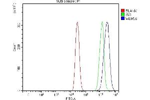 Flow Cytometry analysis of A431 cells using anti-WDR36 antibody (ABIN7602409). (WDR36 Antikörper  (AA 74-865))