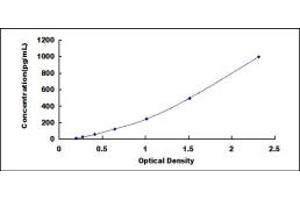 Image no. 1 for Chromosome 19 Open Reading Frame 80 (C19ORF80) ELISA Kit (ABIN1874511)