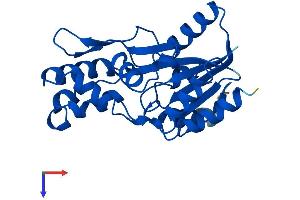PHOSPHO2 Protein (AA 1-241) (His tag)