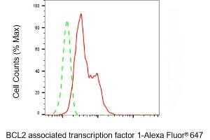 Flow cytometric analysis of BCL2 associated transcription factor 1 expression in HepG2 cells using BCL2 associated transcription factor 1 antibody (ABIN7797747), 1:2,000).