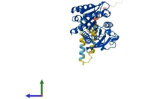 AlphaFold protein structure predicition of Human Recombinant ABHD12B Protein, UniprotID Q7Z5M8