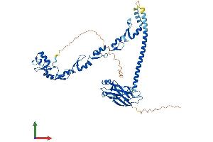 Protein Structure (PS) image for TNF Receptor-Associated Factor 6 (TRAF6) (AA 1-522) protein (His tag) (ABIN7555836)