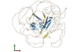 AlphaFold protein structure predicition of Human Recombinant SYNRG Protein, UniprotID Q9UMZ2 (SYNRG Protein (AA 1-1314) (His tag))