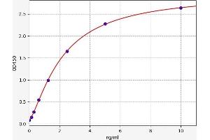 Insulin-Like 5 (INSL5) ELISA Kit