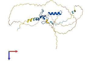 PHF13 Protein (AA 1-300) (His tag)