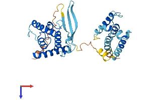 PARVG Protein (AA 1-331) (His tag)