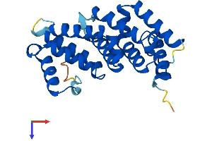 MIF4GD Protein (AA 1-222) (His tag)