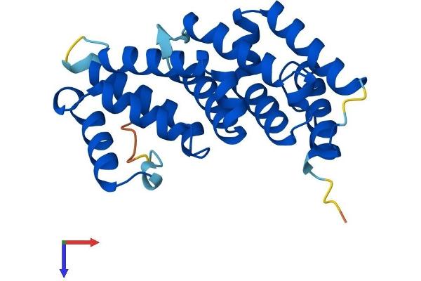 MIF4GD Protein (AA 1-222) (His tag)