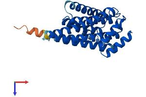 14-3-3 theta Protein (YWHAQ) (AA 1-245) (His tag)