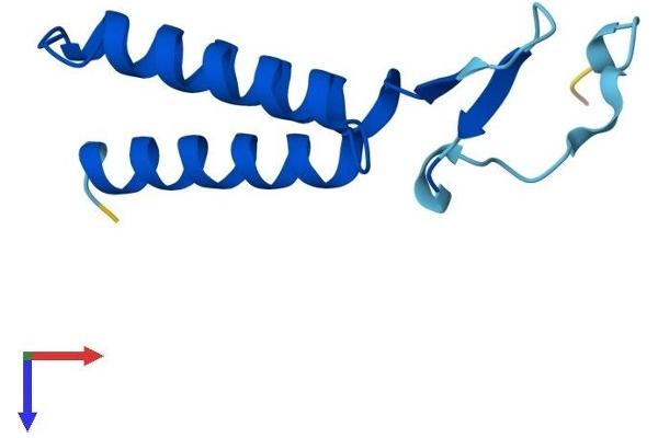 LYRM7 Protein (AA 1-104) (His tag)