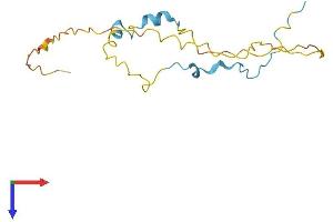 COPRS Protein (AA 1-173) (His tag)