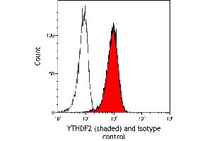 Flow Cytometry (FACS) image for anti-YTH Domain Family, Member 2 (YTHDF2) (AA 300-350) antibody (ABIN7795702)