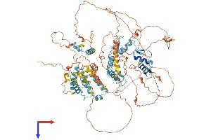 Zinc Finger Protein 369 (ZFP369) (AA 1-824) protein (His tag)