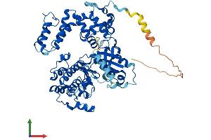 Protein Structure (PS) image for G Protein-Coupled Receptor Kinase 5 (GRK5) (AA 1-590) protein (His tag) (ABIN7554058)