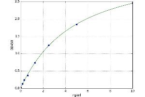 Patatin-Like phospholipase Domain Containing 6 (PNPLA6) ELISA Kit