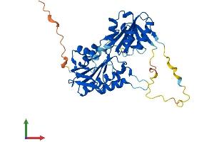 Protein Structure (PS) image for phosphoribosyl Pyrophosphate Synthetase-Associated Protein 2 (PRPSAP2) (AA 1-369) protein (His tag) (ABIN7559776)