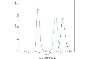 Flow Cytometry (FACS) image for anti-Nuclear Factor of Activated T-Cells, Cytoplasmic, Calcineurin-Dependent 3 (NFATC3) antibody (ABIN5647603)