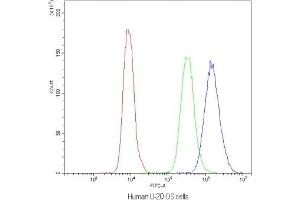 Flow cytometry testing of human U-2 OS cells with NFAT4 antibody at 1ug/10^6 cells (blocked with goat sera)