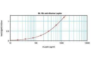 Image no. 2 for anti-Leptin (LEP) antibody (Biotin) (ABIN465756) (Leptin Antikörper  (Biotin))