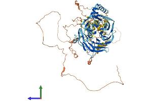 Protein Structure (PS) image for TATA Box Binding Protein (TBP)-Associated Factor, RNA Polymerase I, C, 110kDa (TAF1C) (AA 1-836) protein (His tag) (ABIN7564120)