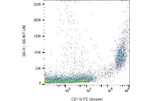 Flow cytometry analysis (surface staining) of CD11b in murine peritoneal fluid with anti-CD11b (M1/70) PE.