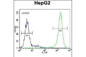 Flow cytometric analysis of HepG2 cells (right histogram) compared to a negative control cell (left histogram). (TIGD3 Antikörper  (C-Term))