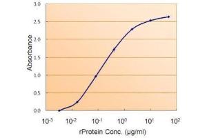 AP26003PU-N SMAD9 antibody (1. (SMAD9 Antikörper  (Internal Region))