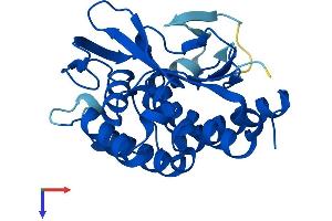 PNPLA4 Protein (AA 1-253) (His tag)