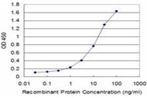 Detection limit for recombinant GST tagged USP9X is approximately 0. (USP9X Antikörper  (AA 1-90))