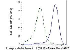 Validation of beta Arrestin 1 knockdown using flow cytometry. (Rekombinanter beta Arrestin 1 Antikörper  (pSer412))