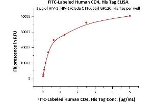 Immobilized HIV-1 [HIV-1/Clade C (16055)] GP120, His Tag (4) at 10 μg/mL (100 μL/well) can bind Fed Human CD4, His Tag (ABIN6933655,ABIN6938827) with a linear range of 0. (CD4 Protein (CD4) (AA 26-390) (FITC,His tag))