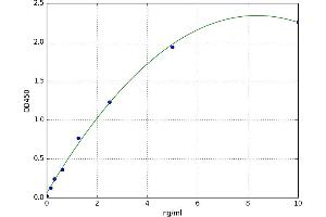 A typical standard curve
