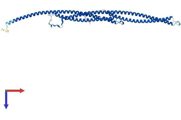 TEKT2 Protein (AA 1-430) (His tag)