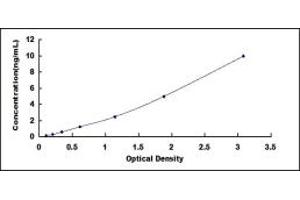 Typical standard curve (SCGB3A2 ELISA Kit)