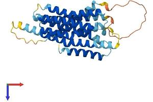 AlphaFold protein structure predicition of Human Recombinant SLC39A2 Protein, UniprotID Q9NP94 (ZIP2 Protein (AA 1-309) (His tag))