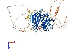 DCAF10 Protein (AA 1-566) (His tag)