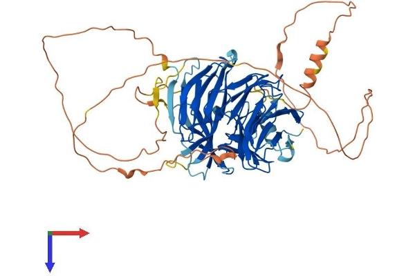 DCAF10 Protein (AA 1-566) (His tag)