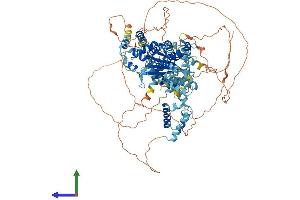 AlphaFold protein structure predicition of Human Recombinant ZNF618 Protein, UniprotID Q5T7W0
