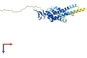 ARV1 Protein (AA 1-266) (His tag)