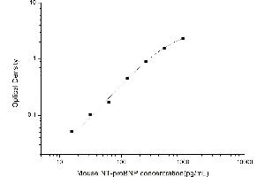 Pro-Brain Natriuretic Peptide (NT-ProBNP) (NT-ProBNP) ELISA Kit